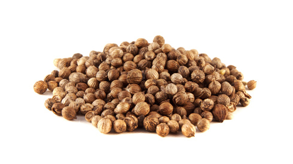 Coriander, seed