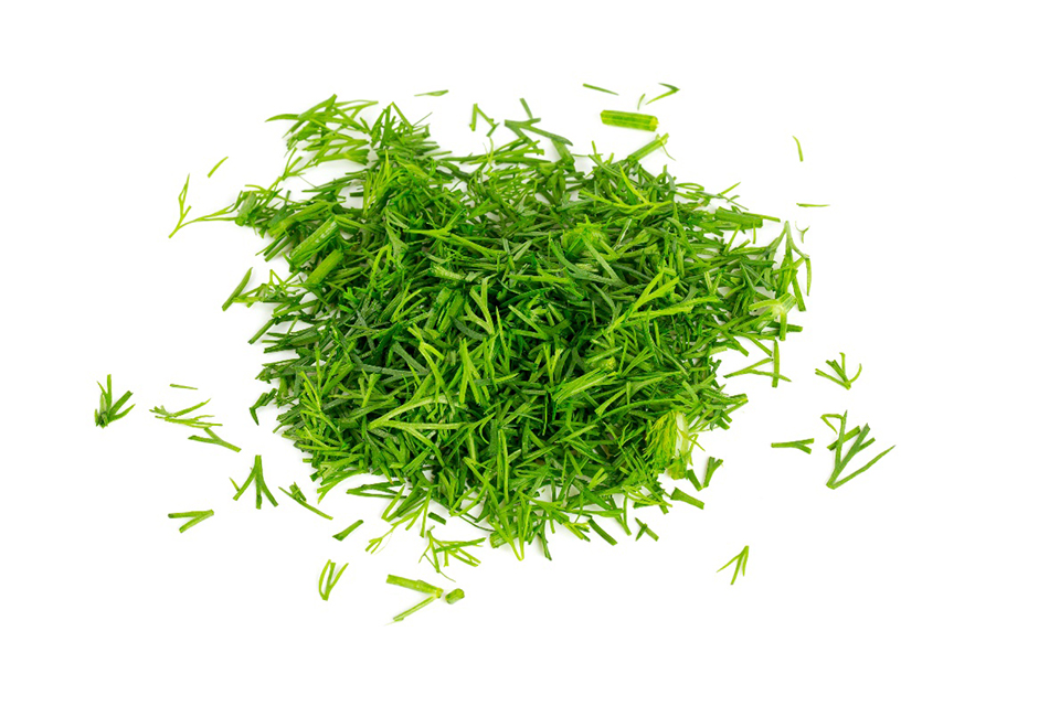Dill, needle