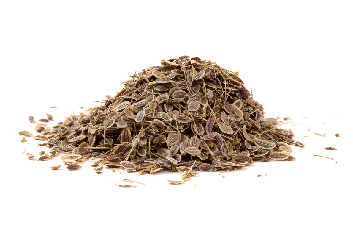 Dill, seed