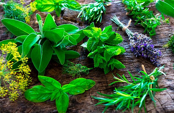 Herbs & Spices