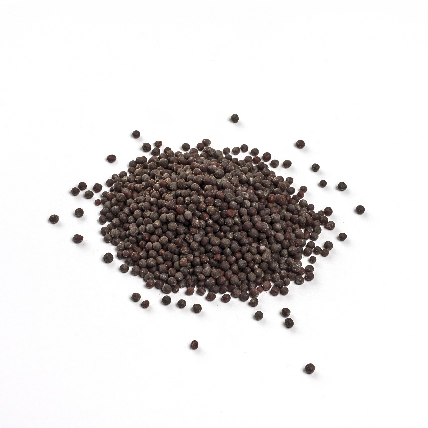 Mustard Seeds, Black