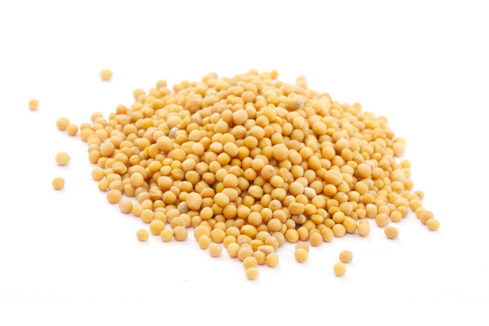 Mustard Seeds, Yellow