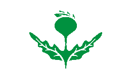 KOSMLSKI green herb logo